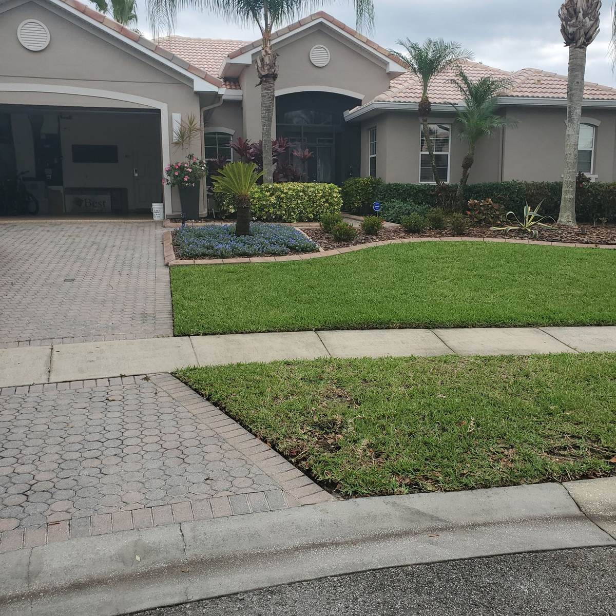 Freshly mowed lawn and driveway in front of a house
